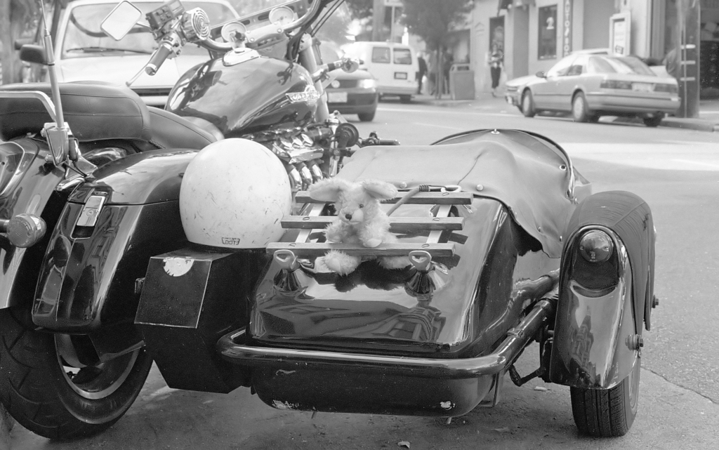 Motorcycle Sidecar