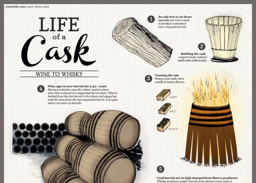 Life of a Wine Barrel Infographic