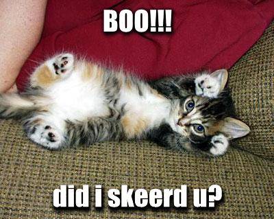boo-did-i-skeerd-u