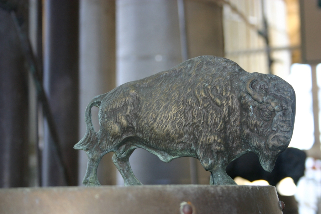 Thunder the Buffalo Thunder the Buffalo Monitors the Still Output